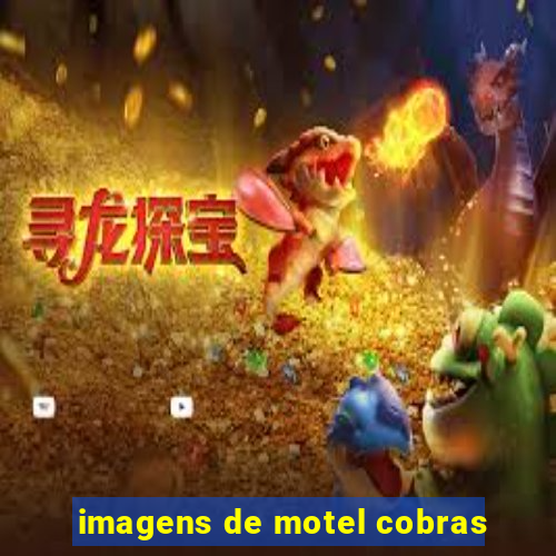 imagens de motel cobras